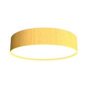 Accord 5012LED Cylindrical 1-lt 24" LED Flush Mount - Organic Gold