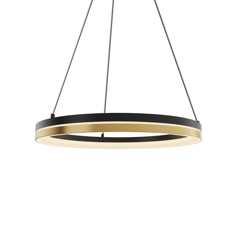 Dals PDR14-CC Eclipse 1-lt 14" LED Pendant, 5CCT Selectable