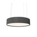 Accord 1038LED Cylindrical 1-lt 28" LED Pendant-Organic lead Grey
