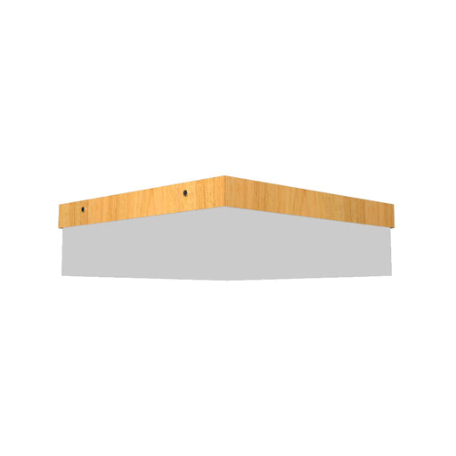 Accord 566LED Clean 1-lt 20" LED Flush Mount-Louro Freijo