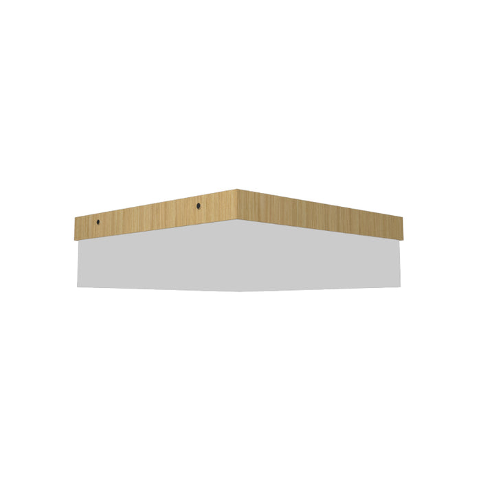 Accord 539LED Clean 1-lt 12" LED Flush Mount-Sand