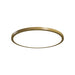Accord 5090LED Naia 1-lt 21" LED Flush Mount-Pale Gold