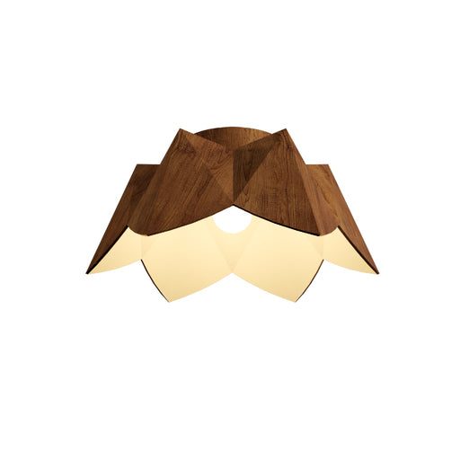 Accord 5093 Physalis 1-lt 26" LED Flush Mount-Imbuia