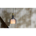 PrentaLux 309 Series 3DP Pendant with Disk Canopy