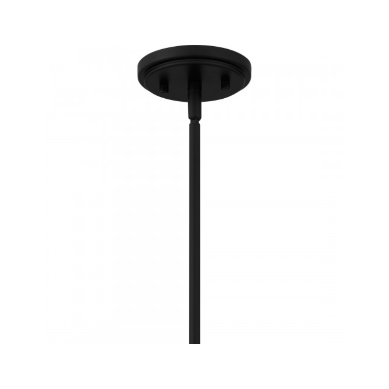 Quoizel QP6176 Rainier 4-lt 22" Pendant