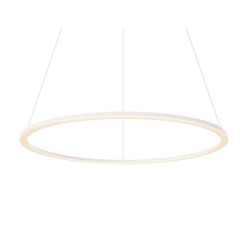 Dals RGPD24-CC Circa 1-lt 24" LED Pendant, 5CCT Selectable