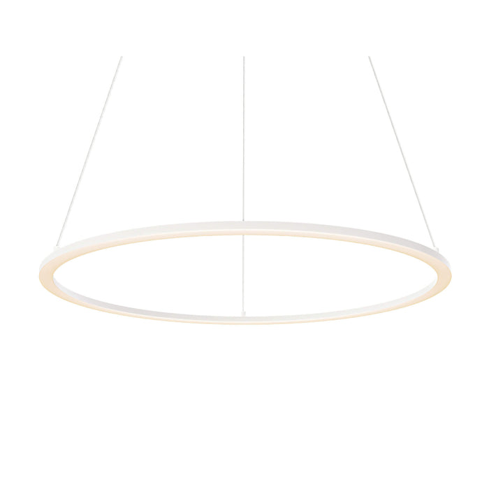 Dals RGPD24-CC Circa 1-lt 24" LED Pendant, 5CCT Selectable