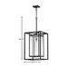 Hinkley 2592-LV Max 1-lt 17" LED Outdoor Hanging Lantern - Black