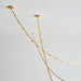 Visual Comfort SLCH655 Catena 241 LED Chandelier with Surface Mount Driver