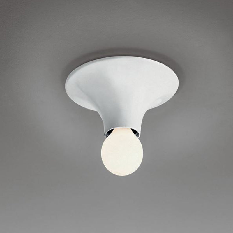 Teti Wall Ceiling Light
