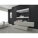 Paris Mirror Galaxy II 60 x 36 Rectangle LED Illuminated Mirror, CCT Selectable