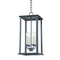 Troy F6710 Zuma 4-lt 10" Outdoor Hanging Lantern
