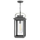 Hinkley 1162-LV Atwater 1-lt 10" LED Outdoor Hanging Lantern, 12V