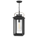 Hinkley 1162-LV Atwater 1-lt 10" LED Outdoor Hanging Lantern, 12V