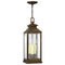 Hinkley 1182 Revere 3-lt 7" LED Outdoor Pendant