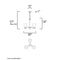 Maxim 12073 Vital 3-lt 20" Chandelier