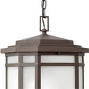 Hinkley 1272 Cherry Creek 1-lt 12" LED Outdoor Pendant