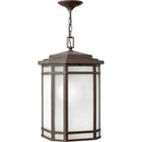 Hinkley 1272 Cherry Creek 1-lt 12" LED Outdoor Pendant