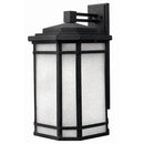 Hinkley 1275 Cherry Creek 1-21" Tall LED Outdoor Wall Light