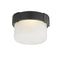 Hudson Valley 1410 Beckett 1-lt 6" LED Flush Mount