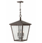Hinkley 1428 Trellis 4-lt 16" LED Outdoor Pendant