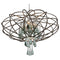 Varaluz 151C05 Area 51 5-lt 24" LED Pendant