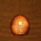 Varaluz 169P01 Urchin 1-lt 13" Pendant