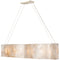 Varaluz 178N07 Big 8-lt 60" Linear Pendant