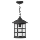 Hinkley 1802 Freeport 1-lt 10" LED Outdoor Pendant