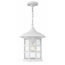 Hinkley 1802 Freeport 1-lt 10" LED Outdoor Pendant
