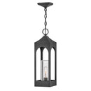 Hinkley 18082 Amina 1-lt 6" LED Outdoor Hanging Lantern