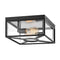Hinkely 18373 Brixton 2-lt 12" LED Outdoor Flush Mount