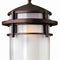 Hinkley 1952 Reef 1-lt 9" LED Outdoor Pendant