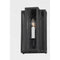 Troy B3601 Leor 1-lt 13" Tall Outdoor Wall Sconce