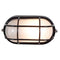 Access 20290 Nauticus 1-lt Outdoor Bulkhead