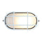 Access 20290 Nauticus 1-lt Outdoor Bulkhead