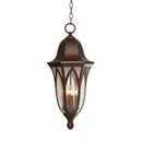 Designers Fountain 20634 Berkshire 4-lt 11" Outdoor Hanging Lantern