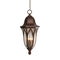 Designers Fountain 20634 Berkshire 4-lt 11" Outdoor Hanging Lantern