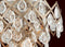 Corbett 214-411 Tiara 11-lt Pendant