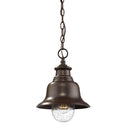 Millennium 2514 1-lt Outdoor Pendant