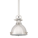 Hudson Valley 2210 Pelham 1-lt 8" Pendant