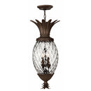 Hinkley 2222 Plantation 4-lt 13" LED Chandelier