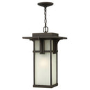 Hinkley 2232 Manhattan 1-lt 11" LED Outdoor Pendant with Etched Seedy Glass