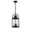Millennium 2544 3-lt Outdoor Pendant