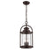 Millennium 2544 3-lt Outdoor Pendant
