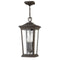 Hinkley 2362 Bromley 3-lt 10" LED Outdoor Pendant