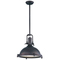 Maxim 25109 Hi-Bay 1-lt 17.75" Pendant