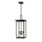 Millennium 2605 4-lt Outdoor Pendant