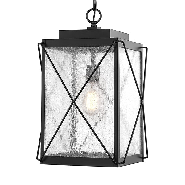 Millennium 2615 1-lt Outdoor Pendant