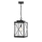 Millennium 2615 1-lt Outdoor Pendant